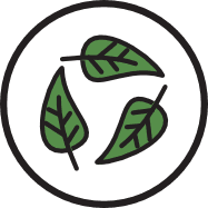 Eco-Friendly Icon
